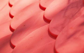 Middle Kames plastic roof costs